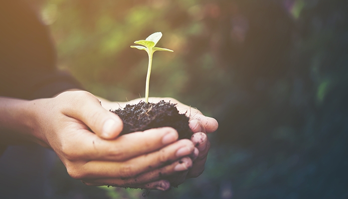 La Banque de France rejoint le CDP : elle est la première banque centrale à demander aux entreprises de publier leurs données environnementales